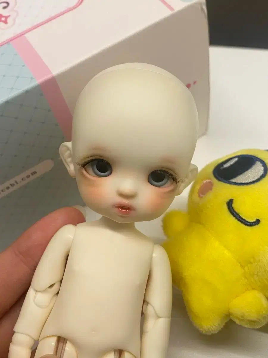 thumbnail-1